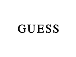 Guess Code